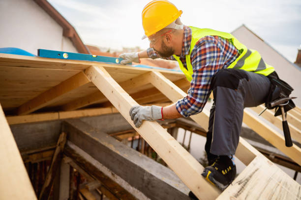 Best Roof Gutter Cleaning  in Llender, CA
